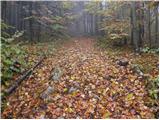 Spodnje Stranice (graves of hundred hostages) - Stolpnik